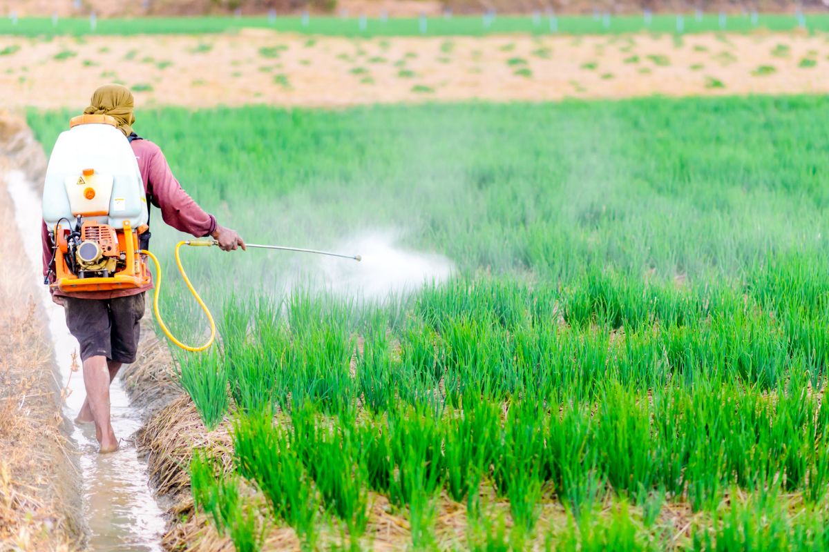 Preventive Spraying Is Always Necessary.jpg